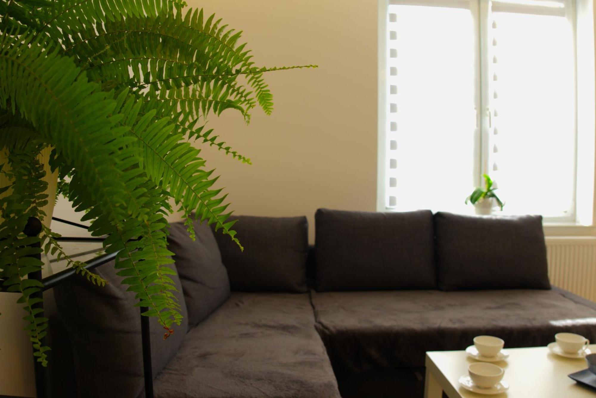 בולסלאביש Apartament Centrum Rynek מראה חיצוני תמונה
